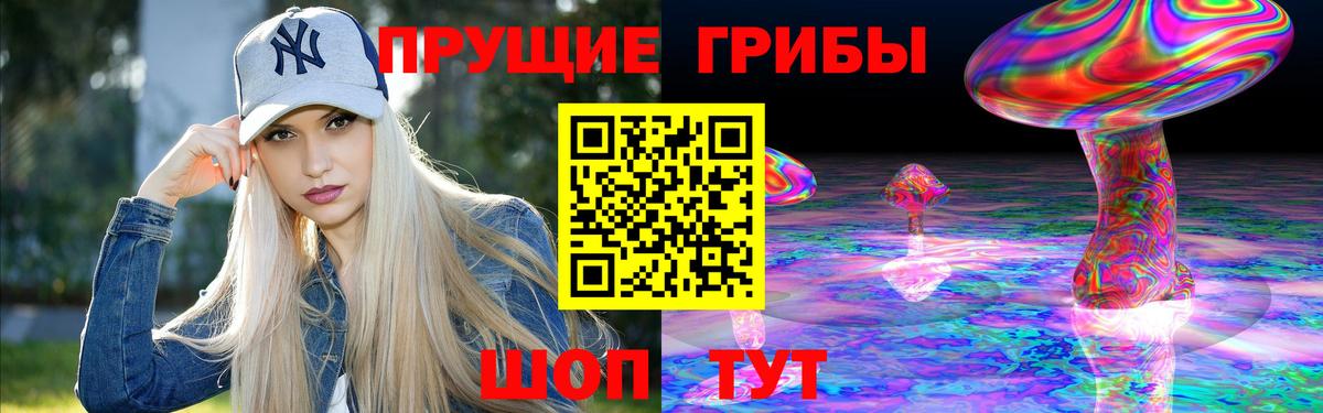 Псилоцибиновые грибы мицелий  Вход с VPN  цены   Будённовск 